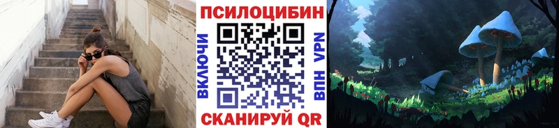 дарнет шоп Киреевск OMG онион Псилоцибиновые грибы Magic Shrooms